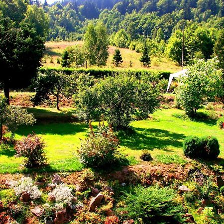 Agroturystyka Gluszyca Lomnica Lomnica  Eksteriør bilde