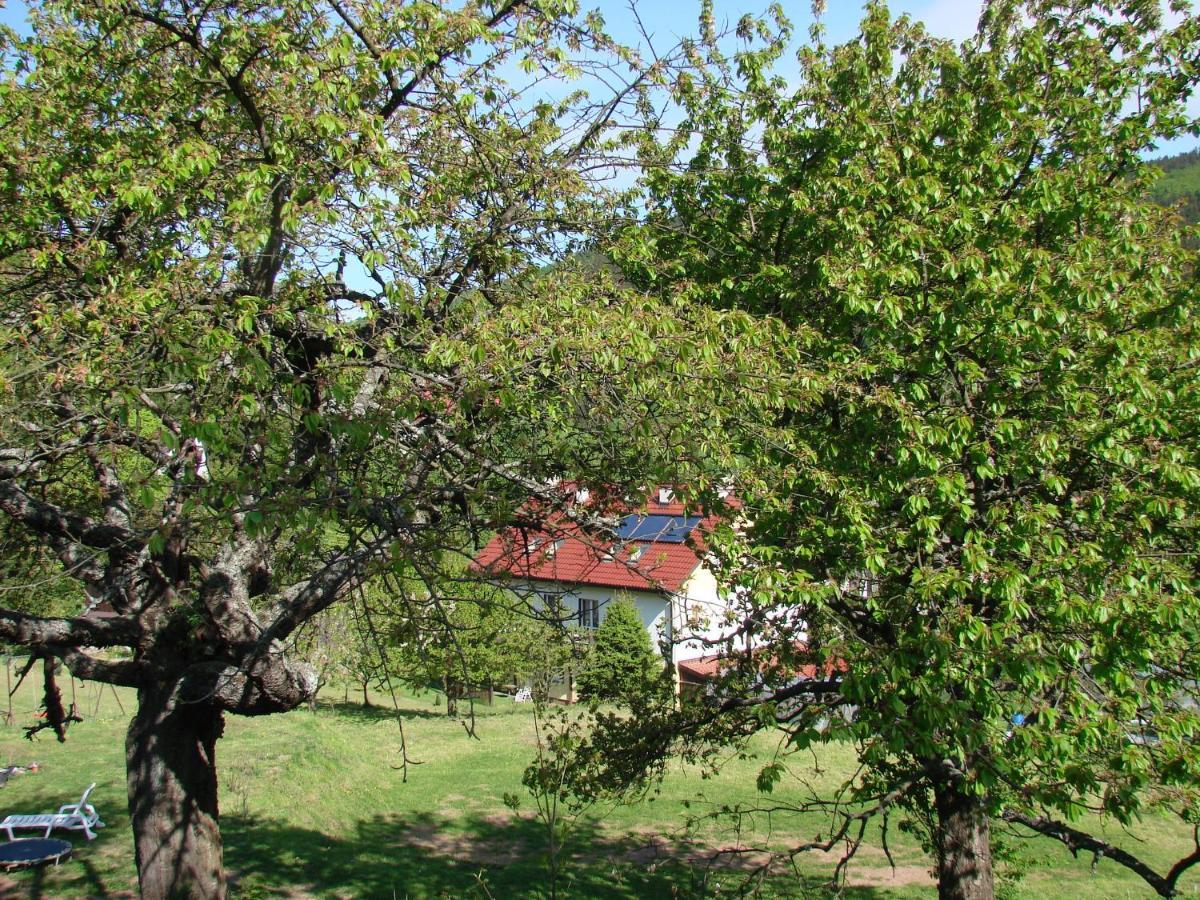 Agroturystyka Gluszyca Lomnica Lomnica  Eksteriør bilde